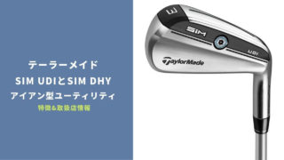 SIM UDIとSIM DHY発売 2