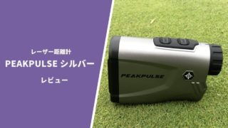 ピークパルスシルバー評価レビュー