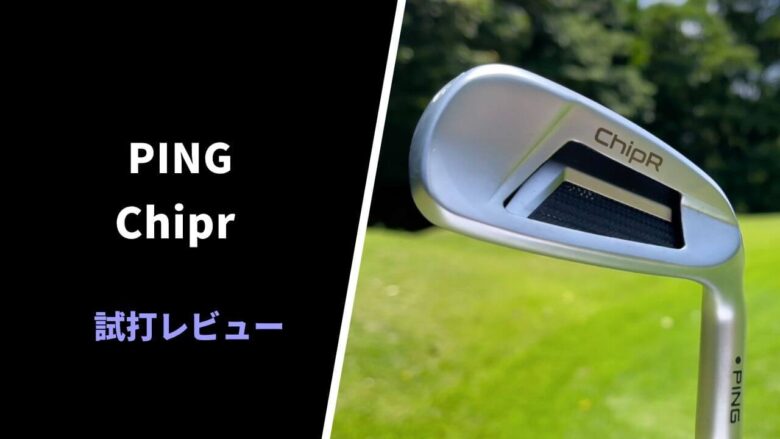 ping-chipr-review0012.jpg