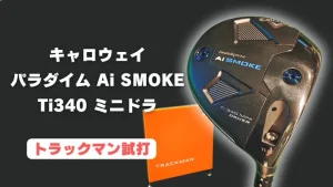 試打評価】パラダイムAi SMOKEトリプルダイヤモンドドライバー