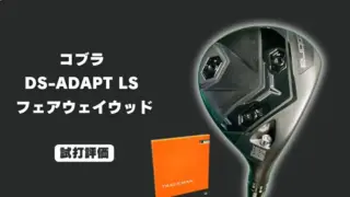 cobra ds adapt ls fw review0000