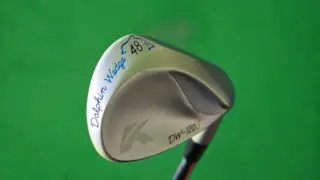 dolphin dw120g 5