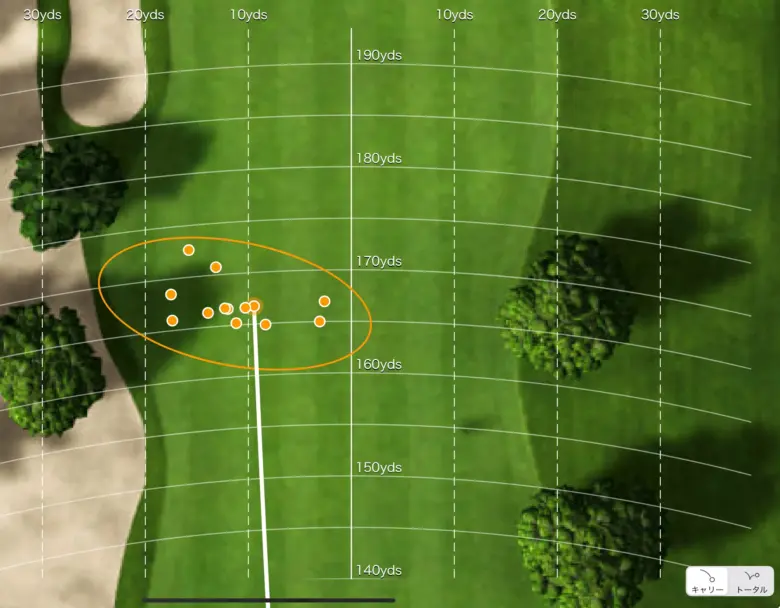 フォーティーン TB-3 FORGED アイアンの分散データ