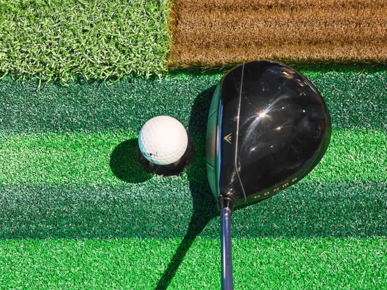 本間ゴルフ TW777 ドライバーのヘッド形状2