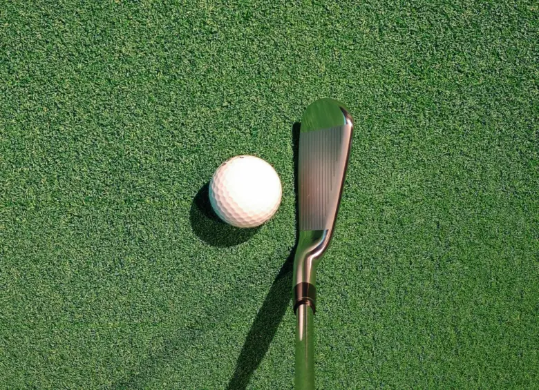 本間ゴルフ TW777 PCB-MAX アイアンのヘッド形状2