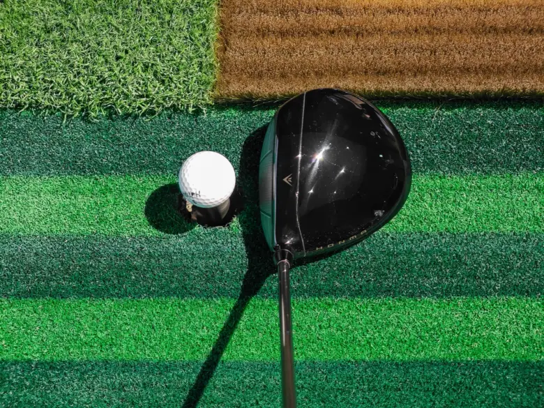 本間ゴルフ TW777 MAXドライバーのヘッド形状2