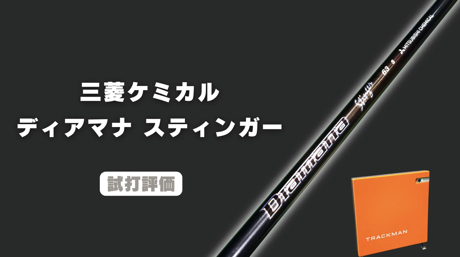 試打評価】ディアマナ スティンガー｜しなやかなのに左に行かない貴重