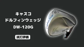 キャスコ ドルフィンウェッジ DW-120G 試打評価