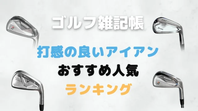打感の良いアイアンおすすめ人気ランキング